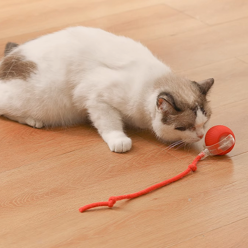 Automatic Cat Toy Ball, Self-Play Interactive Cat Roller Ball, Smart Electric Cat Teaser for Energy Burning